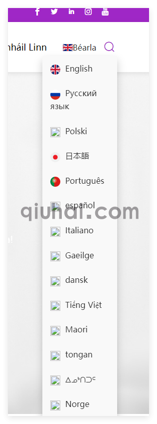 一个单独导航下拉的效果纯CSS(图1)