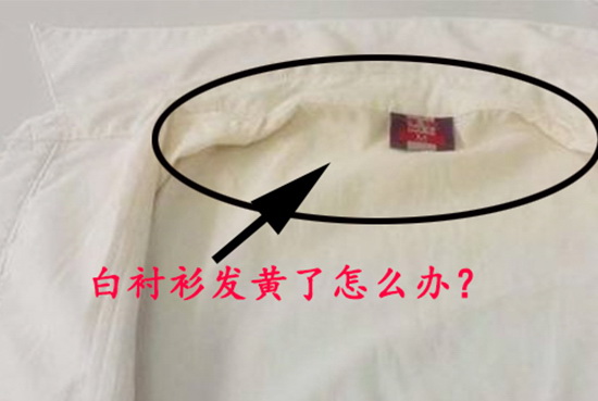 看过这篇文章，你的白衬衫再也不会发黄了(图1)