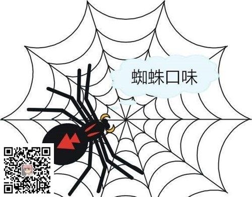让你网站快速被蜘蛛抓取的十三个方法(图1)