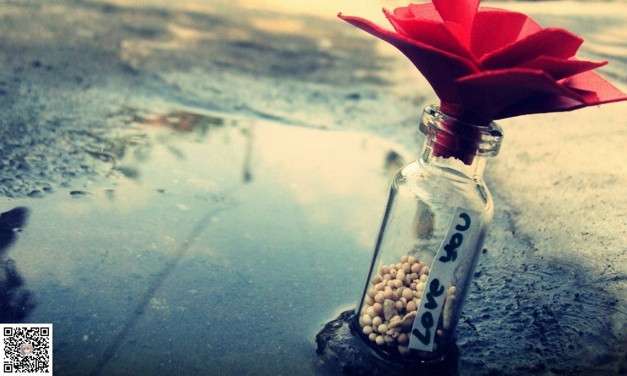 某人生日快乐(图1)