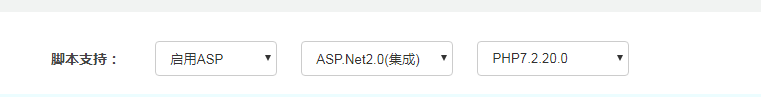 windows服务器护卫神安装易优教程篇(图30)